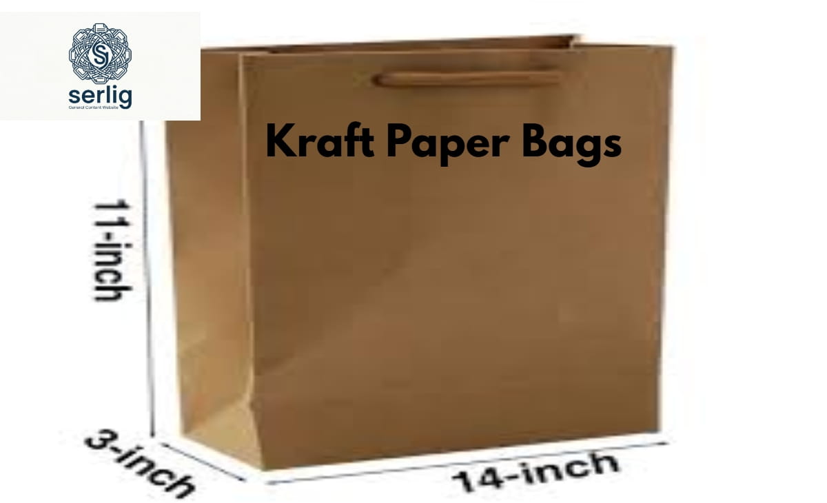 Assorted kraft paper bags in brown and white with twisted rope handles on a wooden surface