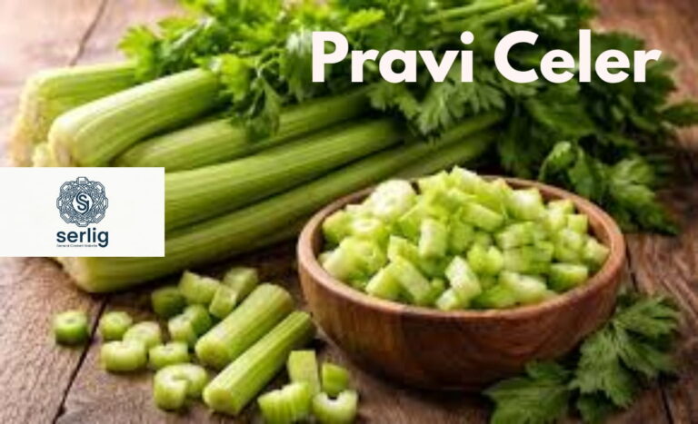 Fresh Pravi Celer — whole celery plant with stalks, leaves, and celeriac root on a wooden kitchen surface