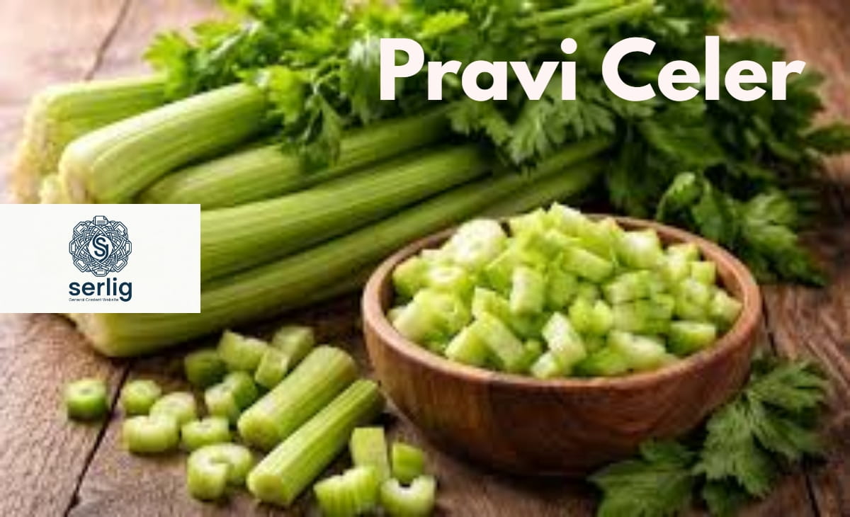 Fresh Pravi Celer — whole celery plant with stalks, leaves, and celeriac root on a wooden kitchen surface